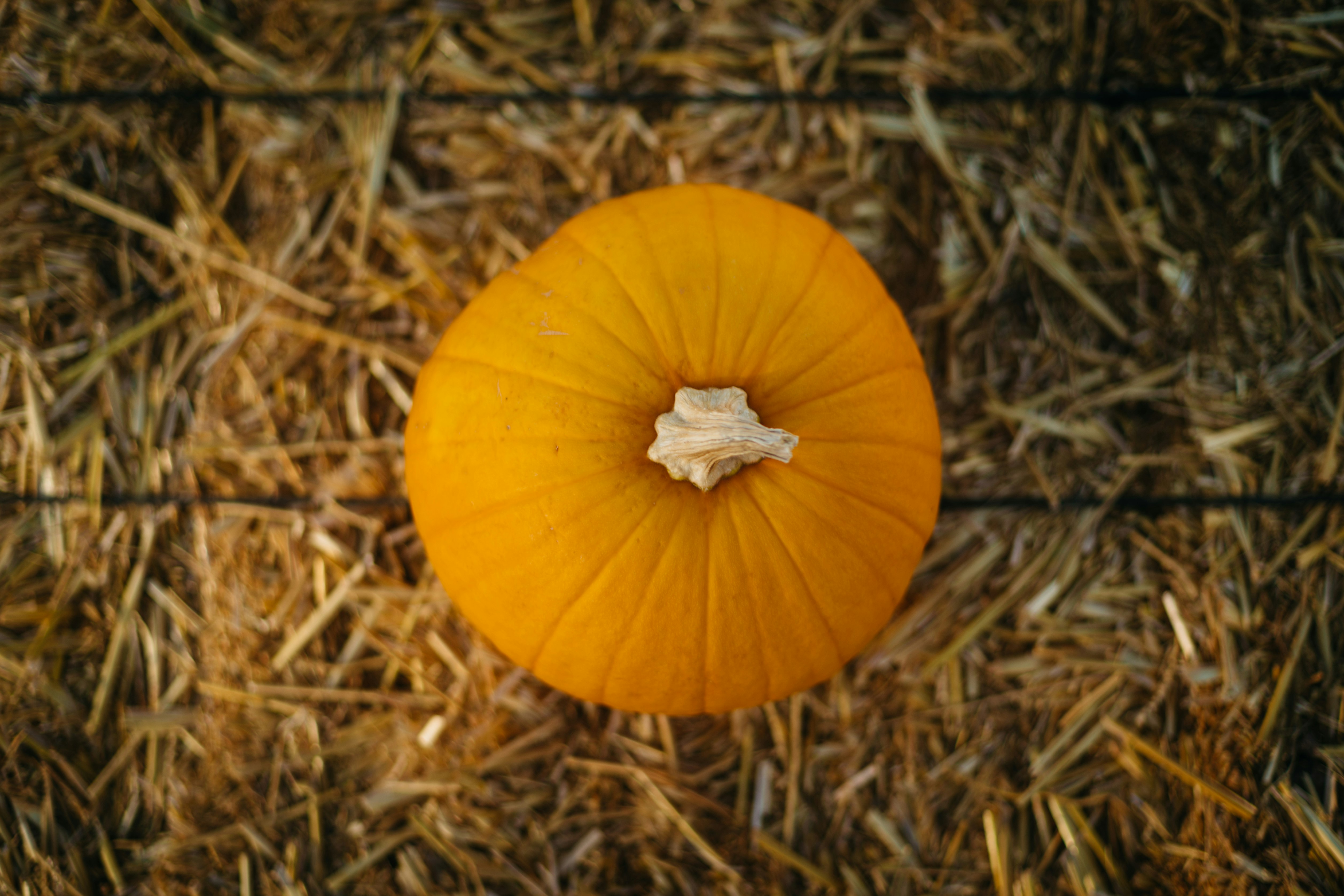 round orange fruit closeup photography